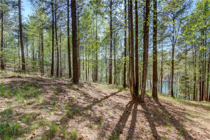 Property image 4 at 108 Reflection Court, Six Mile, SC 29682