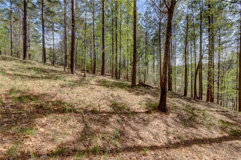 Property image 5 at 108 Reflection Court, Six Mile, SC 29682