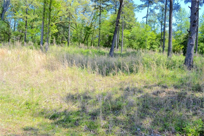 Lot 82 Crooked Trace Lane