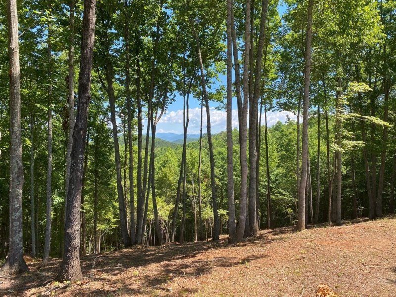 Property image 3 at Lot 38 Cliffs Vista Parkway, Six Mile, SC 29682