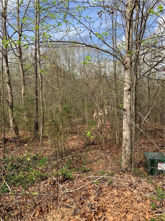 Property image 4 at Lot 13 Summer Walk Court, Seneca, SC 29678