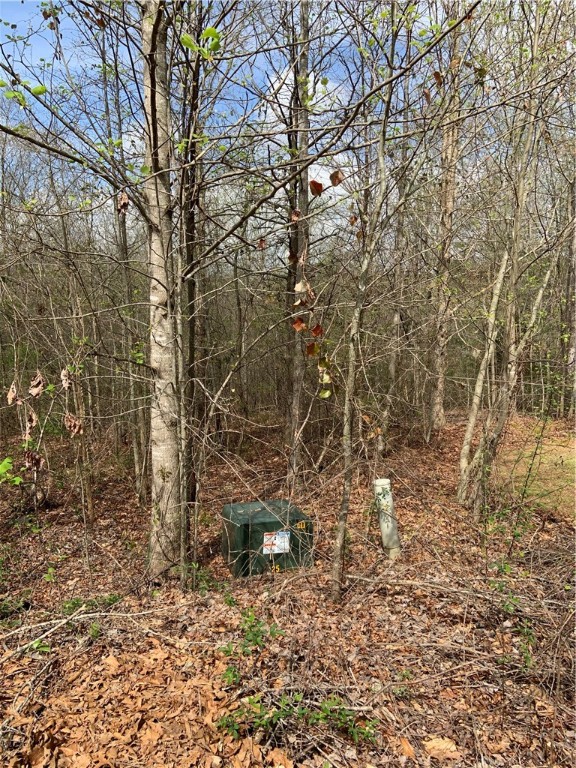 Property image 5 at Lot 13 Summer Walk Court, Seneca, SC 29678