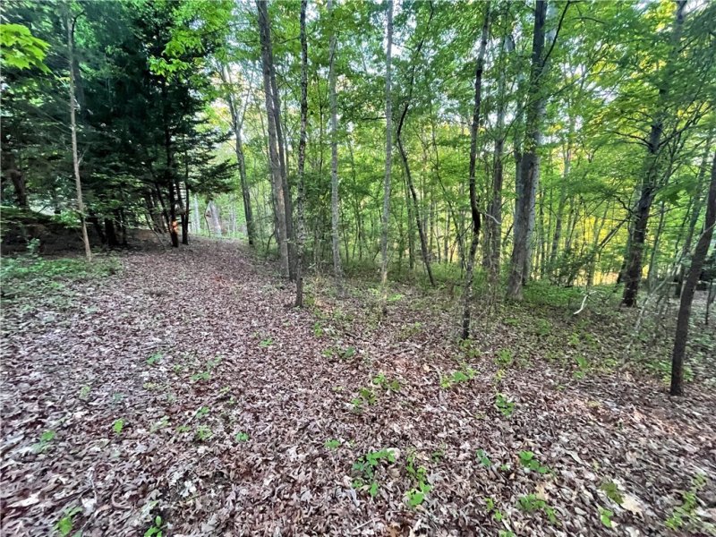 Property image 2 at 15 Eastern Point, Salem, SC 29676