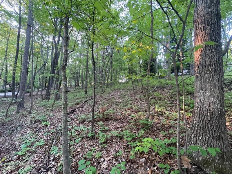 Property image 3 at 15 Eastern Point, Salem, SC 29676