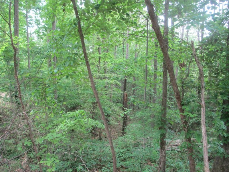 Property image 4 at 000 Cherokee Drive, Fair Play, SC 29643