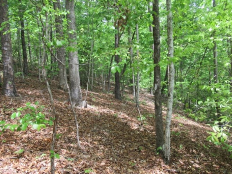 Property image 3 at 357 Gauley Falls Road, Pickens, SC 29671