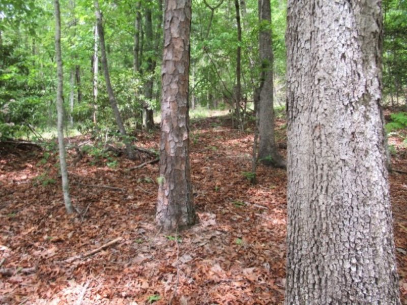 Property image 4 at 357 Gauley Falls Road, Pickens, SC 29671