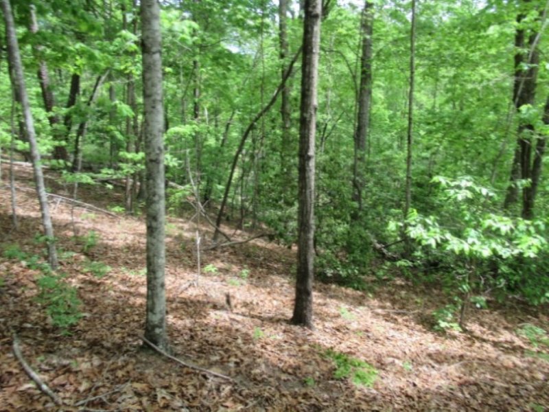 Property image 5 at 357 Gauley Falls Road, Pickens, SC 29671