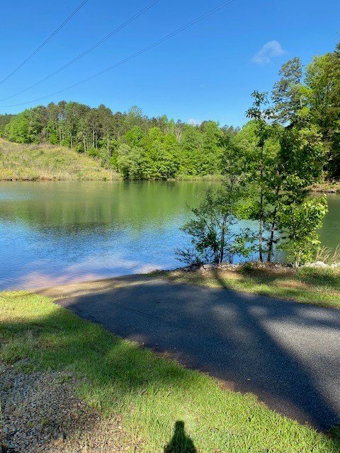 Property image 3 at Lot 14 Wilderness Cove, West Union, SC 29696