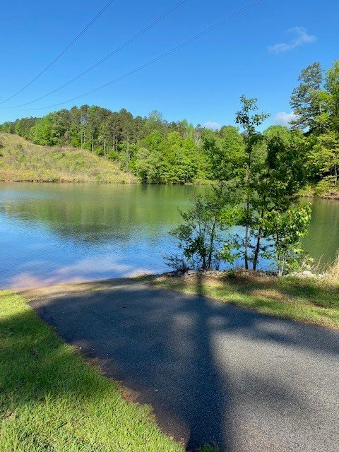 Property image 4 at Lot 14 Wilderness Cove, West Union, SC 29696