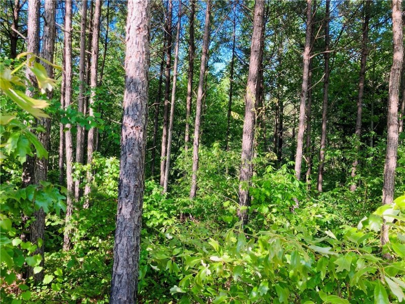 Property image 2 at 00 McAlister Road, West Union, SC 29696