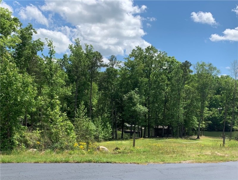 Property image 4 at 416 Landings Run, Abbeville, SC 29620