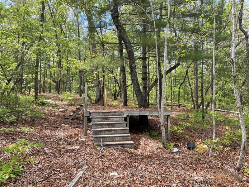 Property image 3 at 662 West Cove Road, Mountain Rest, SC 29664