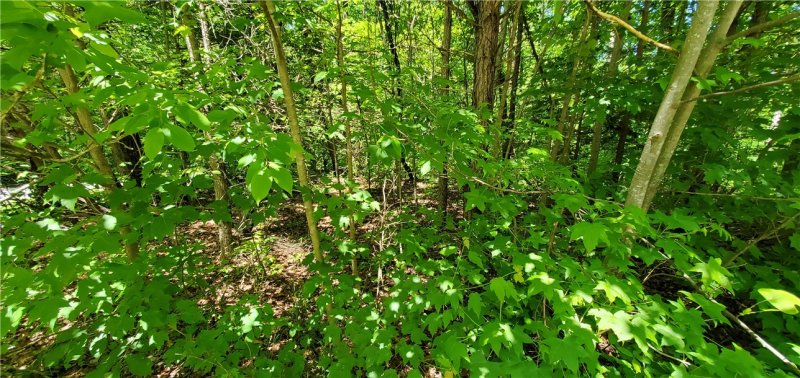 Property image 2 at Lot 196 Richfield Drive, Westminster, SC 29693