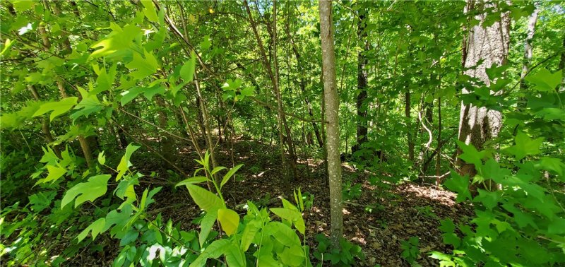 Property image 3 at Lot 196 Richfield Drive, Westminster, SC 29693