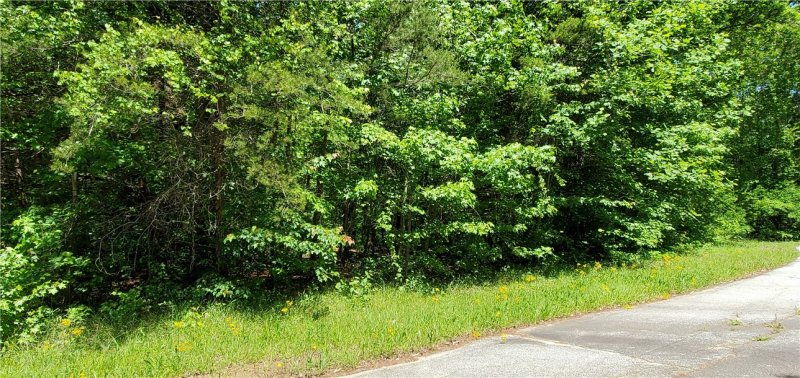 Property image 5 at Lot 196 Richfield Drive, Westminster, SC 29693