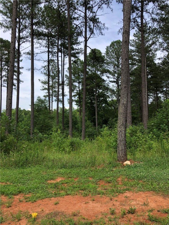 Property image 3 at Lot 67 Harbor Point Road, Seneca, SC 29672