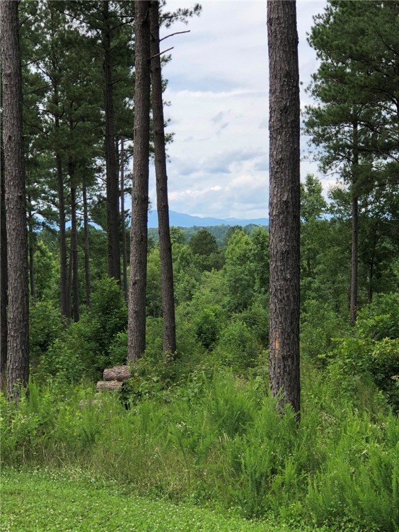 Property image 4 at Lot 67 Harbor Point Road, Seneca, SC 29672