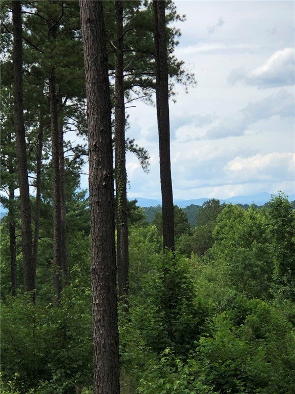 Property image 5 at Lot 67 Harbor Point Road, Seneca, SC 29672