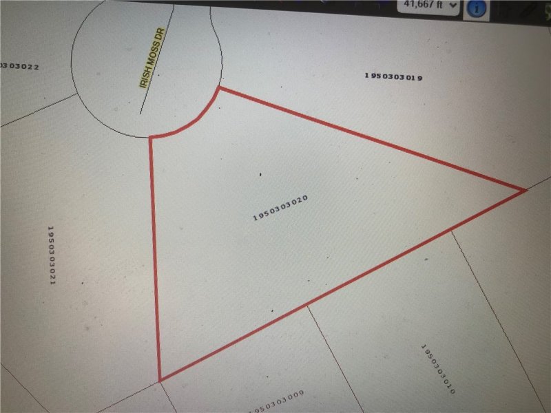 Property image 3 at 113 Irish Moss Drive, Williamston, SC 29697