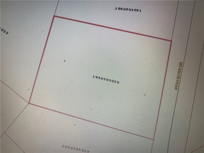 Property image 3 at 102 Irish Moss Drive, Williamston, SC 29697