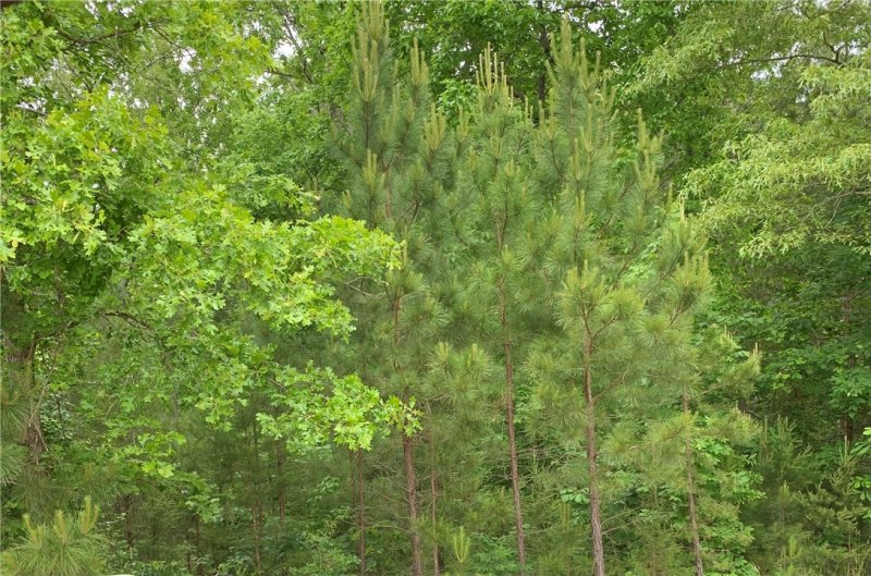 Property image 2 at 1.04 acres Sweetwater View Road, Seneca, SC 29672