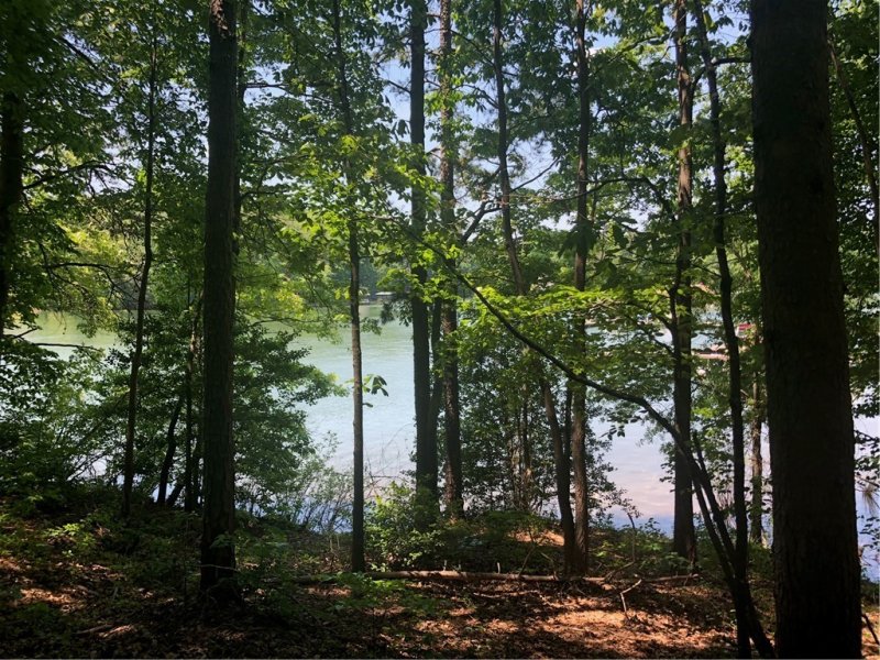 Property image 3 at Lot 24-B E. Waters Edge Lane, West Union, SC 29696