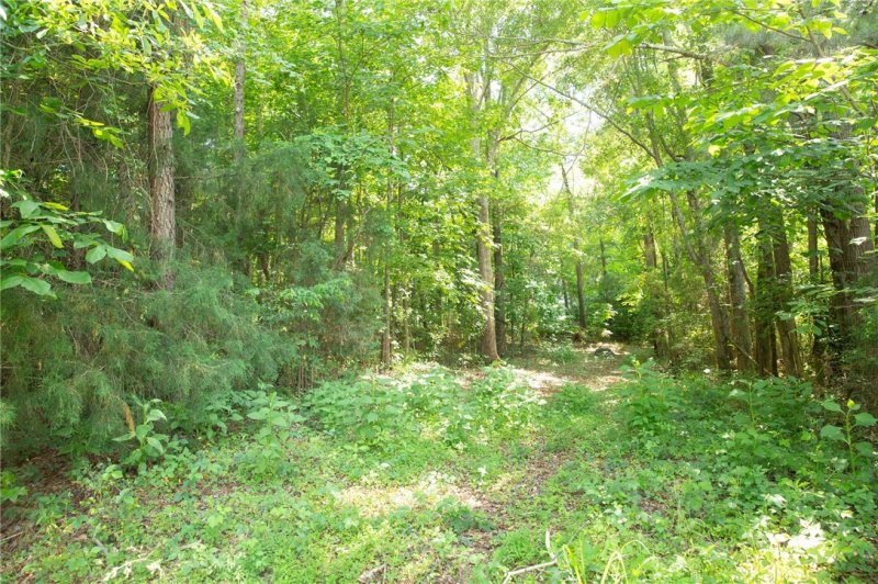 1905 Cross Creek Drive