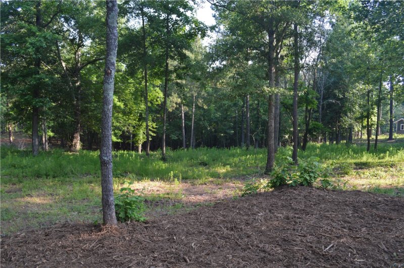 Property image 2 at Lot 3 Stokes Drive, Seneca, SC 29672