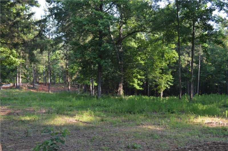 Property image 5 at Lot 3 Stokes Drive, Seneca, SC 29672