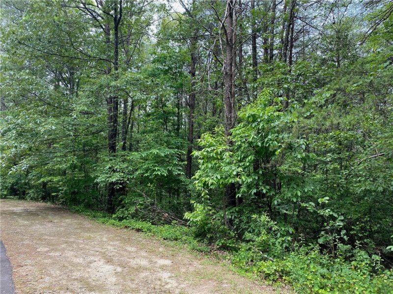 Property image 2 at 508 Vineyard Park, Sunset, SC 29685