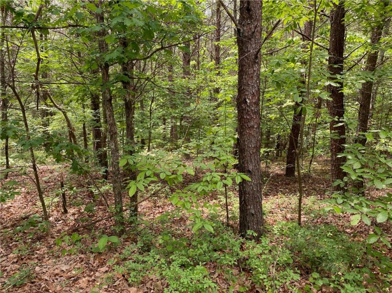 Property image 3 at 508 Vineyard Park, Sunset, SC 29685