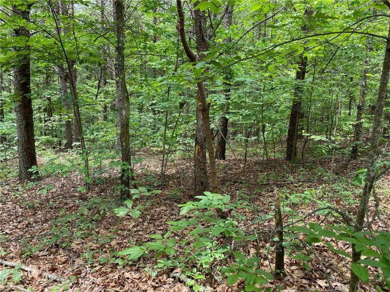 Property image 4 at 508 Vineyard Park, Sunset, SC 29685