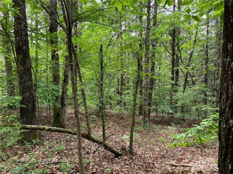 Property image 5 at 508 Vineyard Park, Sunset, SC 29685