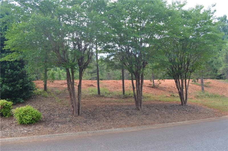 Property image 3 at Lot 82B Ridgeside Court, West Union, SC 29696