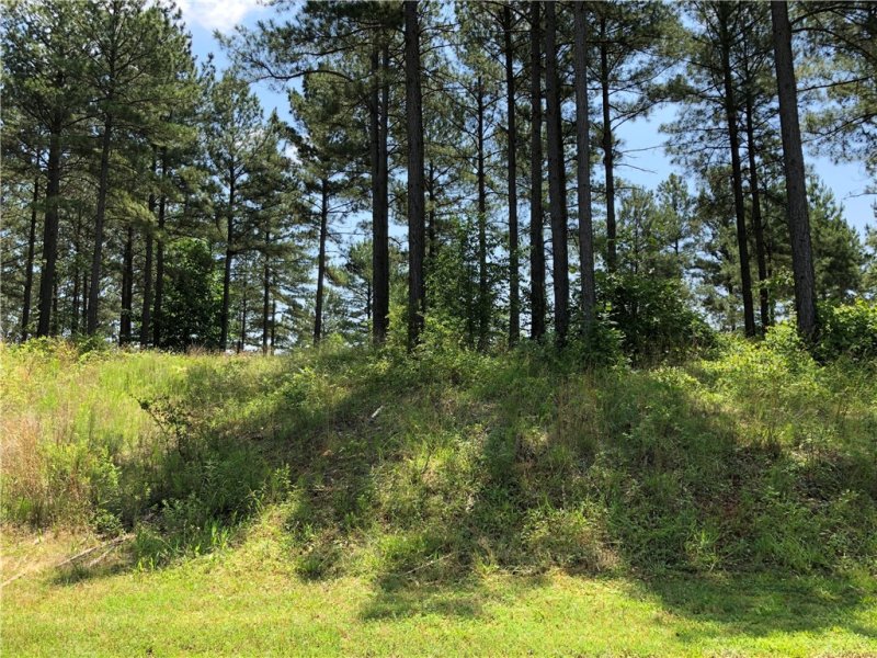 Property image 3 at 206 Bentwood Way, Salem, SC 29676