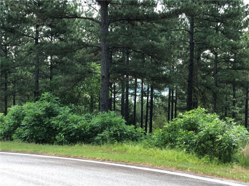 Property image 5 at 206 Bentwood Way, Salem, SC 29676