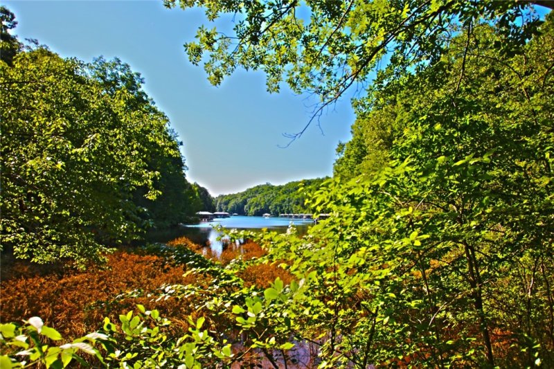 Lot 11 Estates at Riverstone