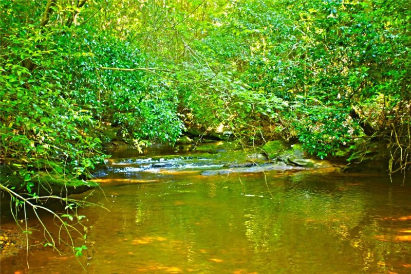 Property image 4 at Lot 11 Estates at Riverstone, Salem, SC 29676