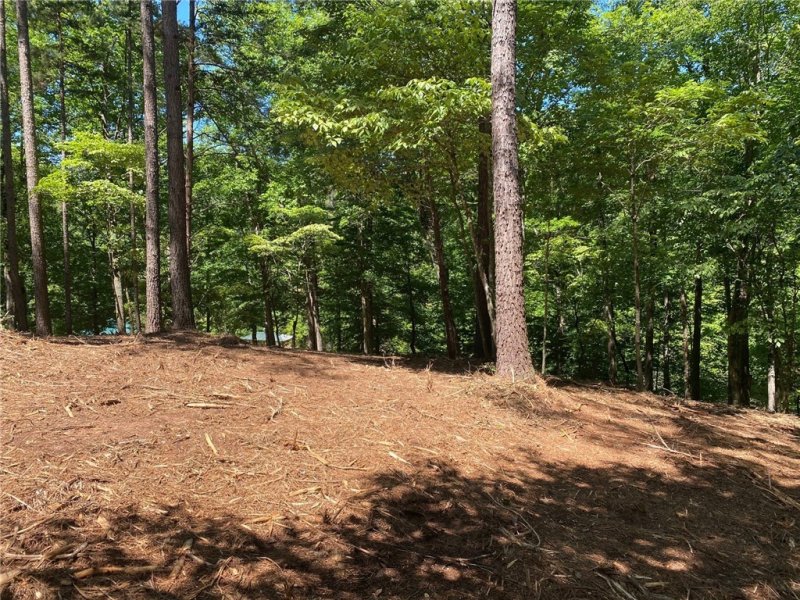 Property image 2 at 148 Hawks Bay Court, Six Mile, SC 29682