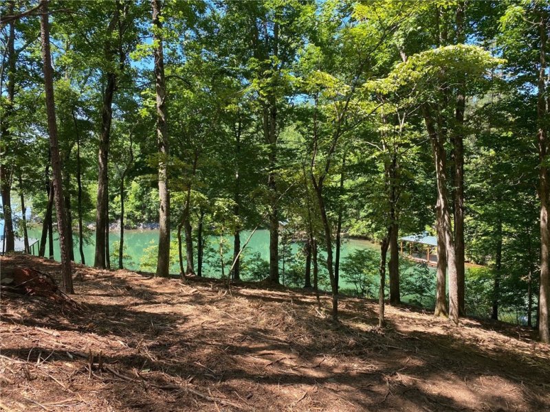 Property image 3 at 148 Hawks Bay Court, Six Mile, SC 29682