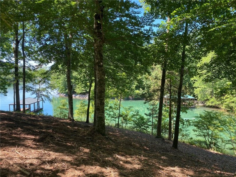 Property image 4 at 148 Hawks Bay Court, Six Mile, SC 29682