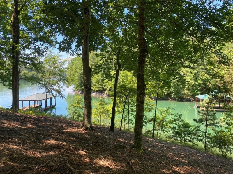 Property image 5 at 148 Hawks Bay Court, Six Mile, SC 29682