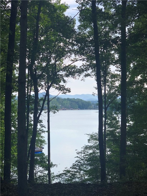 Property image 2 at 118 Mountain Shore Trail, Six Mile, SC 29682