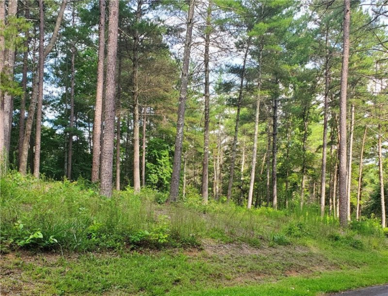 Property image 2 at Lot 22 Vineyard Park, Sunset, SC 29685