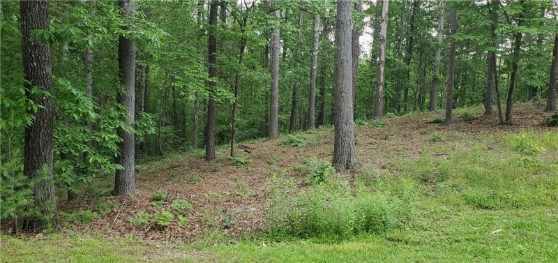 Property image 3 at Lot 22 Vineyard Park, Sunset, SC 29685