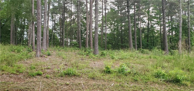 Property image 5 at Lot 22 Vineyard Park, Sunset, SC 29685