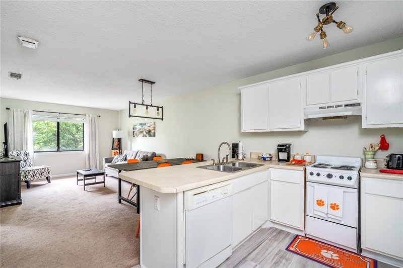 Property image 3 at 150 Ligon Street, Clemson, SC 29631