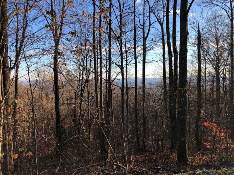 Property image 5 at 275 Lost Trail Drive, Landrum, SC 29356