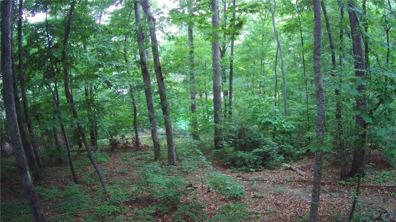 Property image 4 at Lot 78 Amenity Way, Seneca, SC 29672